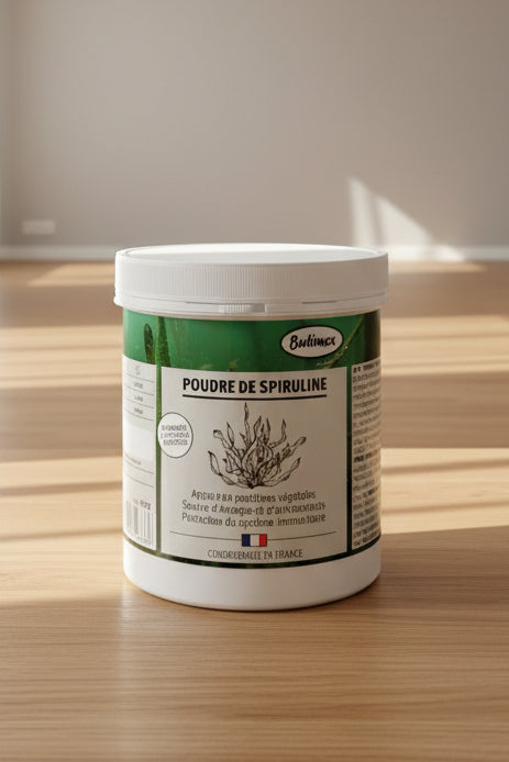 POUDRE SPIRULINE EN 400G