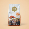 saumon, riz