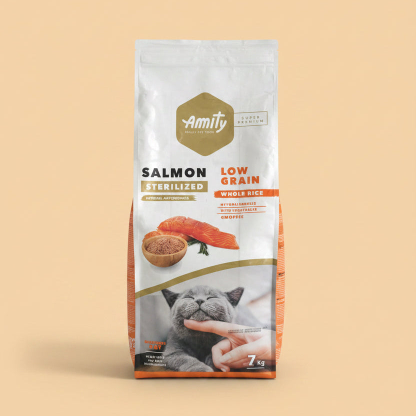 saumon, riz